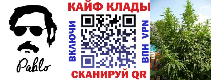 Где купить наркотики Далматово Марихуана  блэк спрут ссылка  АМФ  ГАШИШ  Меф мяу мяу  Кокаин  APVP 
