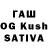 Галлюциногенные грибы Cubensis Mugatu