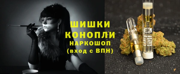 индика Бугульма