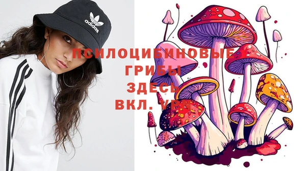 индика Бугульма