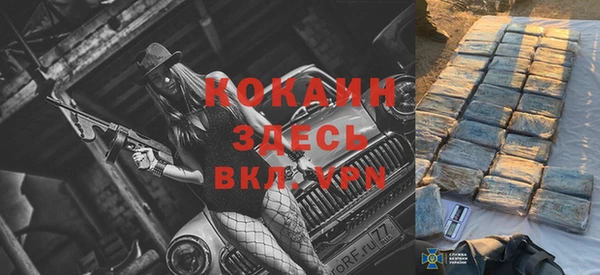 индика Бугульма