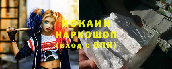 твердый Богданович