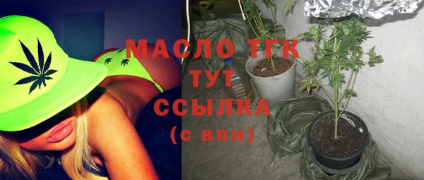 индика Бугульма