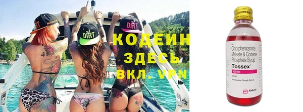 скорость Бородино
